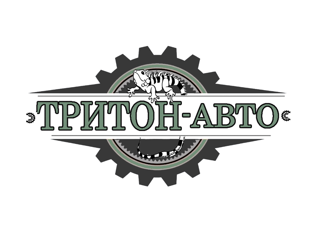 Тритон Авто - запчасти для корейских и китайских лёгких грузовиков